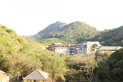 白色的混凝土建筑附近绿树白天
